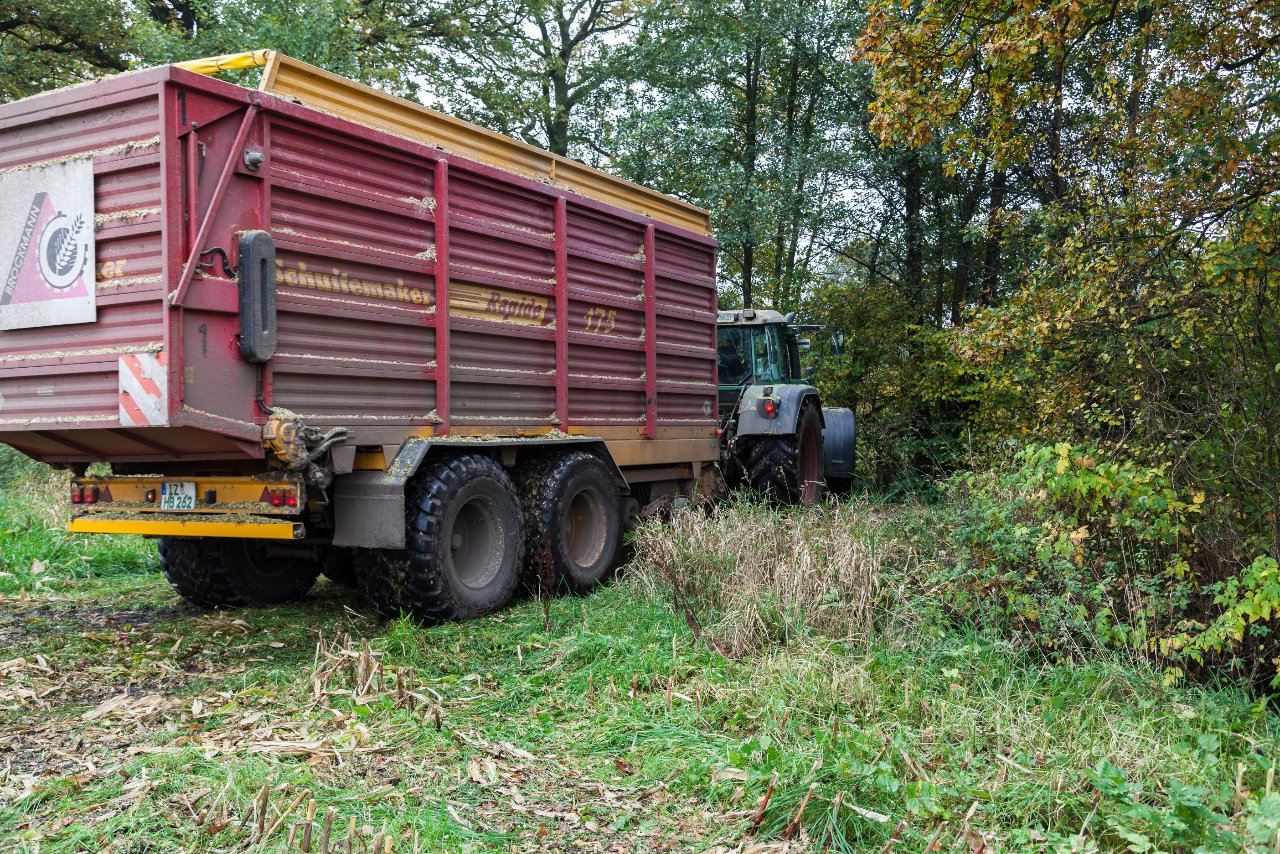 Bild 114 - Biogas am 21.10.12